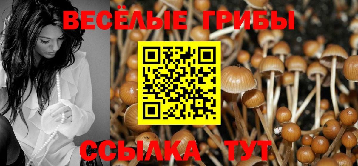 Гуково  где купить   Вход с VPN  Галлюциногенные грибы мицелий 
