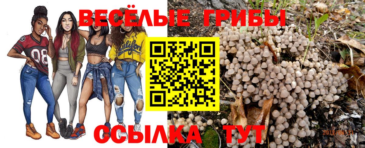 Галлюциногенные грибы Cubensis Гуково